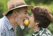 apple
