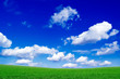 The Green Field And Beautiful ...