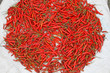 Photo: Chilies Chilies