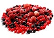 Eisbeeren01 Eisbeeren01