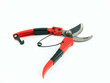 scissors