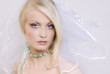 Portrait of the young blonde in a wedding veil