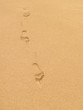 Footsteps in the Sand