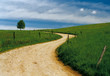 der Weg