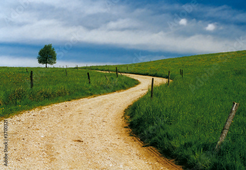 der Weg