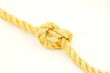 Knot