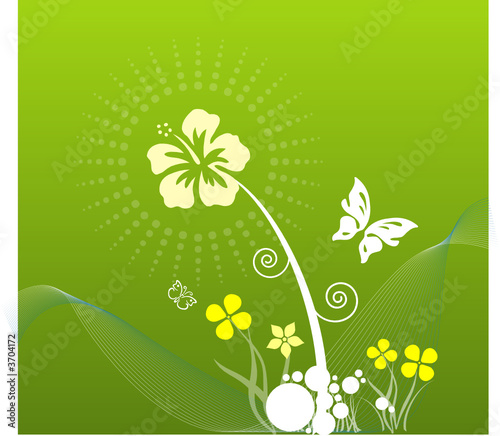 blumen und ornamente - frühling blumen und ornamente - frühling