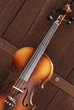 violin