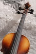 violin