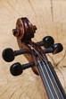 violin
