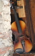 violin