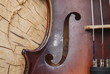 violin