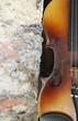 violin