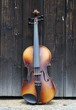 violin