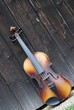 violin
