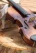 violin