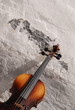 violin