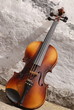 violin