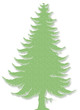 Mon bio sapin !