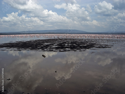 Photo: Famous lake Nakuru with million of pink flamingos. Famous lake Nakuru with million of pink flamingos.