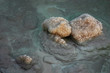 Dead Sea , stones