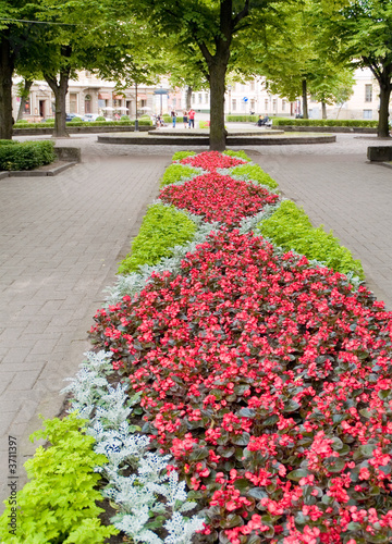 Flower pattern