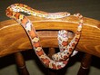 serpent