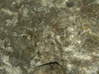 Textura roca Textura roca