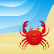 cute little crab