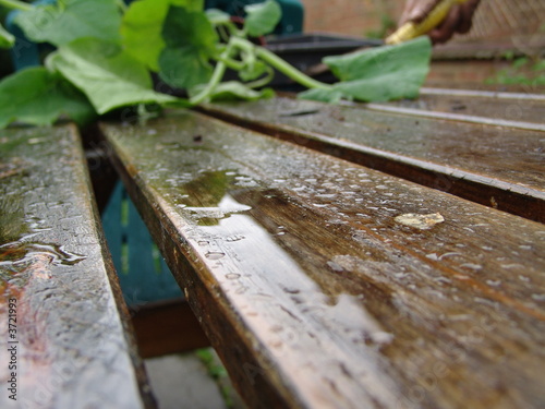 Photo: wet table wet table