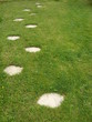 Allée de pavés japonais