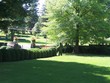 front lawn