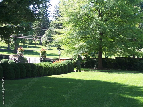 Photo: front lawn front lawn