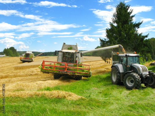 Foto: zwei grüne Mähdrescher und Traktor ernten ein Getreidefeld ab zwei grüne Mähdrescher und Traktor ernten ein Getreidefeld ab