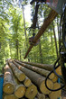 holzverlad
