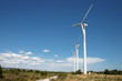 paysage d'éoliennes