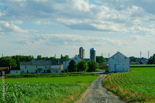 Photo: Amish Farm and cornfield in Lancaster PA Amish Farm and cornfield in Lancaster PA