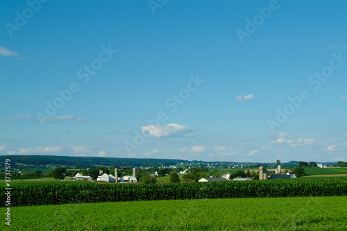 Photo: Farm and cornfield in Lancaster PA Farm and cornfield in Lancaster PA