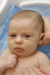 A month old infant girl in a bath. A month old infant girl in a bath.