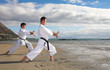 Young adult men with black belt practicing a Kata 