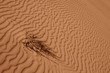 Dune , 3