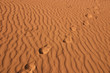 Dune , 6