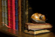 Detalle de una librería