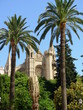 Palma