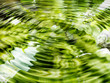 Quadro Bright abstract green water background