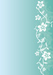 Fond Fleur et plante