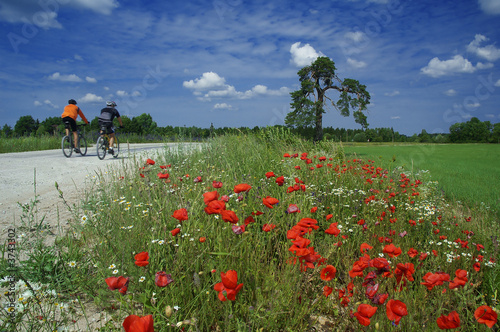 Training of bicyclists on beautiful road. 