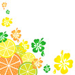 Orange lemon and lime slices with some flowers