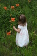 Little Girl in Field