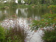 Japanese Garden